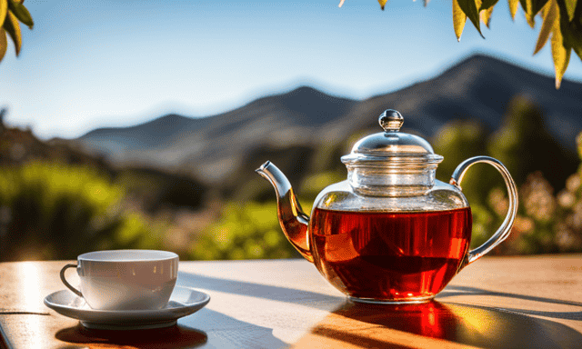 An image of a serene, sunlit patio with an elegantly arranged teapot, showcasing vibrant red Rooibos tea