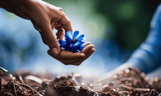 An image showcasing the step-by-step process of making chicory root: a close-up shot of a pair of hands carefully harvesting the vibrant blue flowers, followed by a series of visuals capturing the drying, grinding, and brewing stages