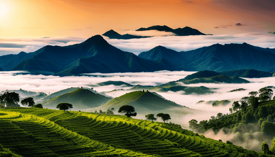 An image depicting lush, emerald-green Ethiopian highlands, with misty mountain peaks in the background