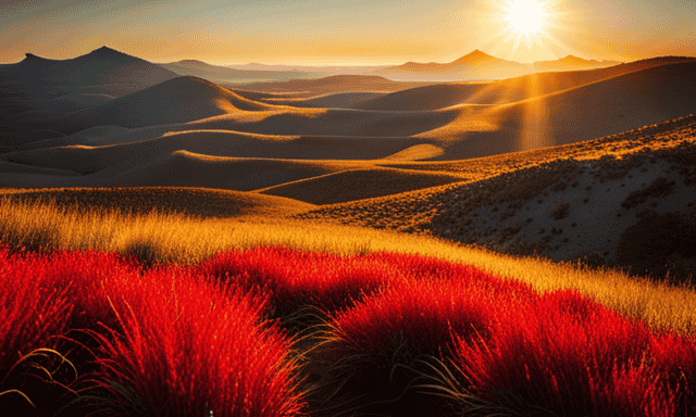 An image showcasing a serene, sun-kissed landscape with vibrant red bushes of Rooibos tea, gently swaying in the breeze