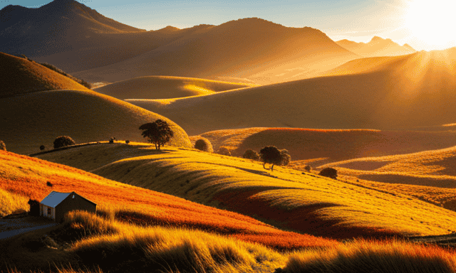 An image featuring a serene, sunlit landscape with vibrant red-roofed cottages nestled amidst lush Rooibos tea fields