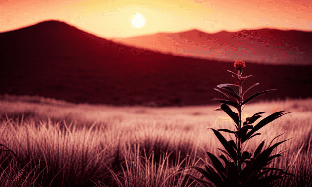 An image showcasing a serene African landscape with a vibrant red plant, the rooibos bush, standing tall amidst the rolling hills