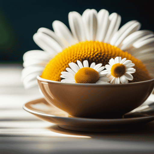 An image showcasing a vibrant bouquet of chamomile flowers, their delicate white petals radiating warmth and tranquility