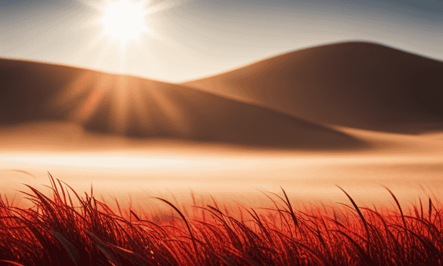 An image showcasing a vibrant, sun-kissed landscape with rolling hills covered in a dense carpet of needle-like leaves, interwoven with vibrant red stems