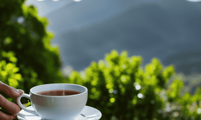 An image featuring a serene morning scene, with a slender person enjoying a cup of warm rooibos tea on a sunlit balcony overlooking a lush green landscape, radiating tranquility and potential for weight loss