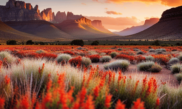 An image showcasing the picturesque landscape of Cederberg, South Africa, with its rugged mountain ranges, vibrant red soil, and sprawling fields of indigenous Rooibos plants, revealing the captivating origins of this renowned herbal tea