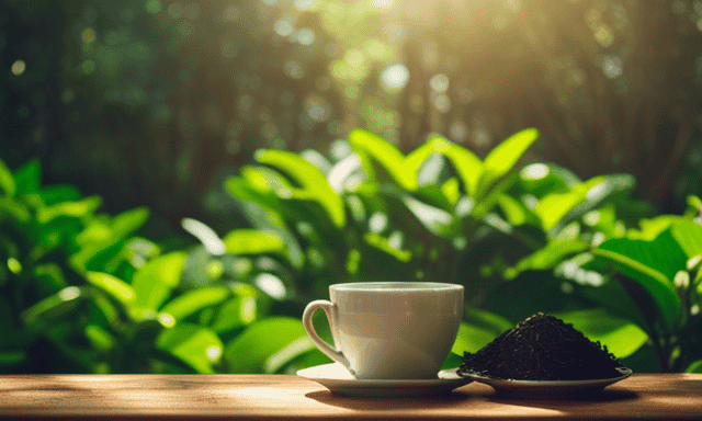 An image featuring a serene tea shop engulfed in a lush tea garden, where sunlight gently filters through the leaves