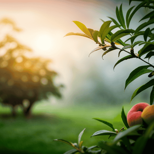 An image showcasing a serene garden scene with a vibrant peach tree, adorned with plump peaches