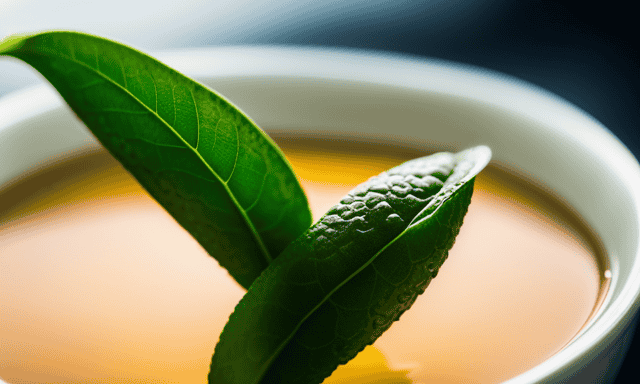 An image capturing the elegance of an Oolong tea leaf unfurling in hot water, contrasting with the vibrant green hue of a freshly brewed Green tea, evoking a visual comparison of both teas' distinct flavors