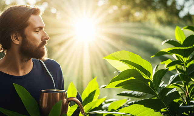An image showcasing a serene, sunlit scene of a person savoring a steaming cup of vibrant green yerba mate, surrounded by lush, verdant leaves and energizing rays of sunlight, capturing the invigorating essence of yerba mate over coffee