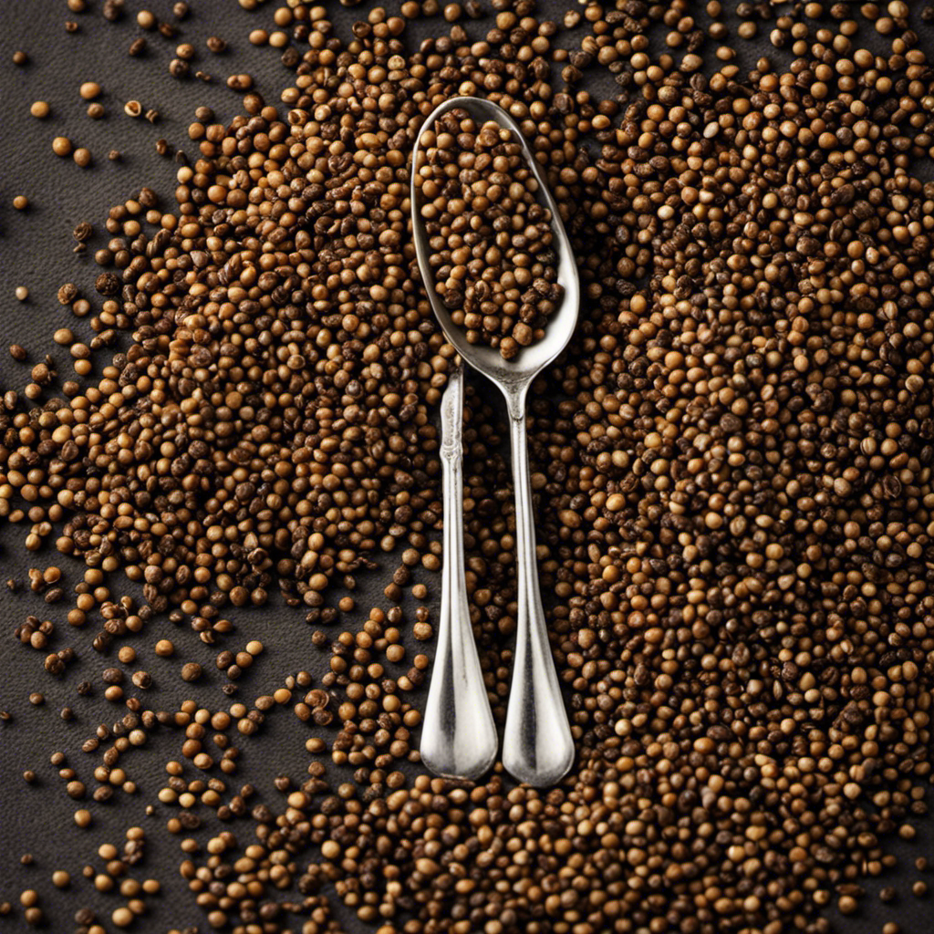 An image showcasing two pristine teaspoons filled with whole coriander seeds, side by side