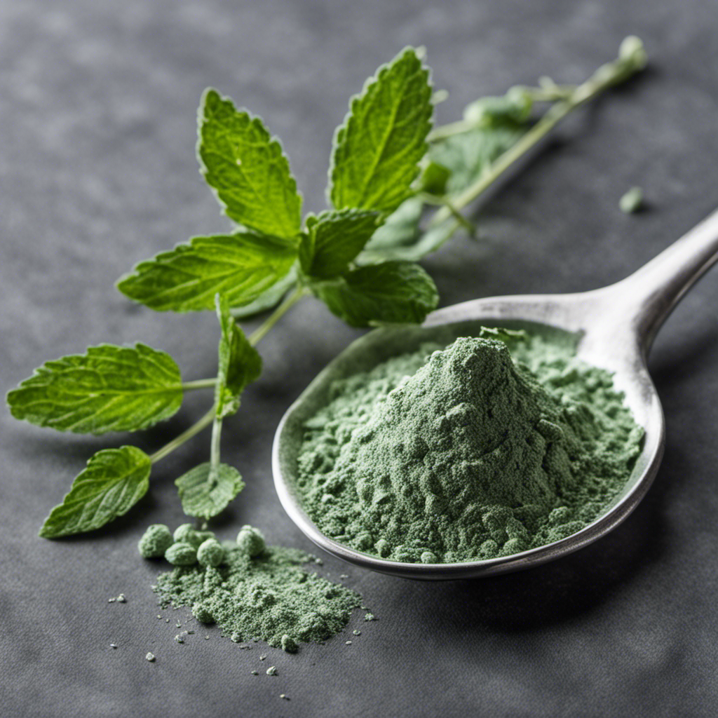 An image showcasing five delicate sprigs of dried mint, carefully arranged next to a teaspoon filled with dried mint powder