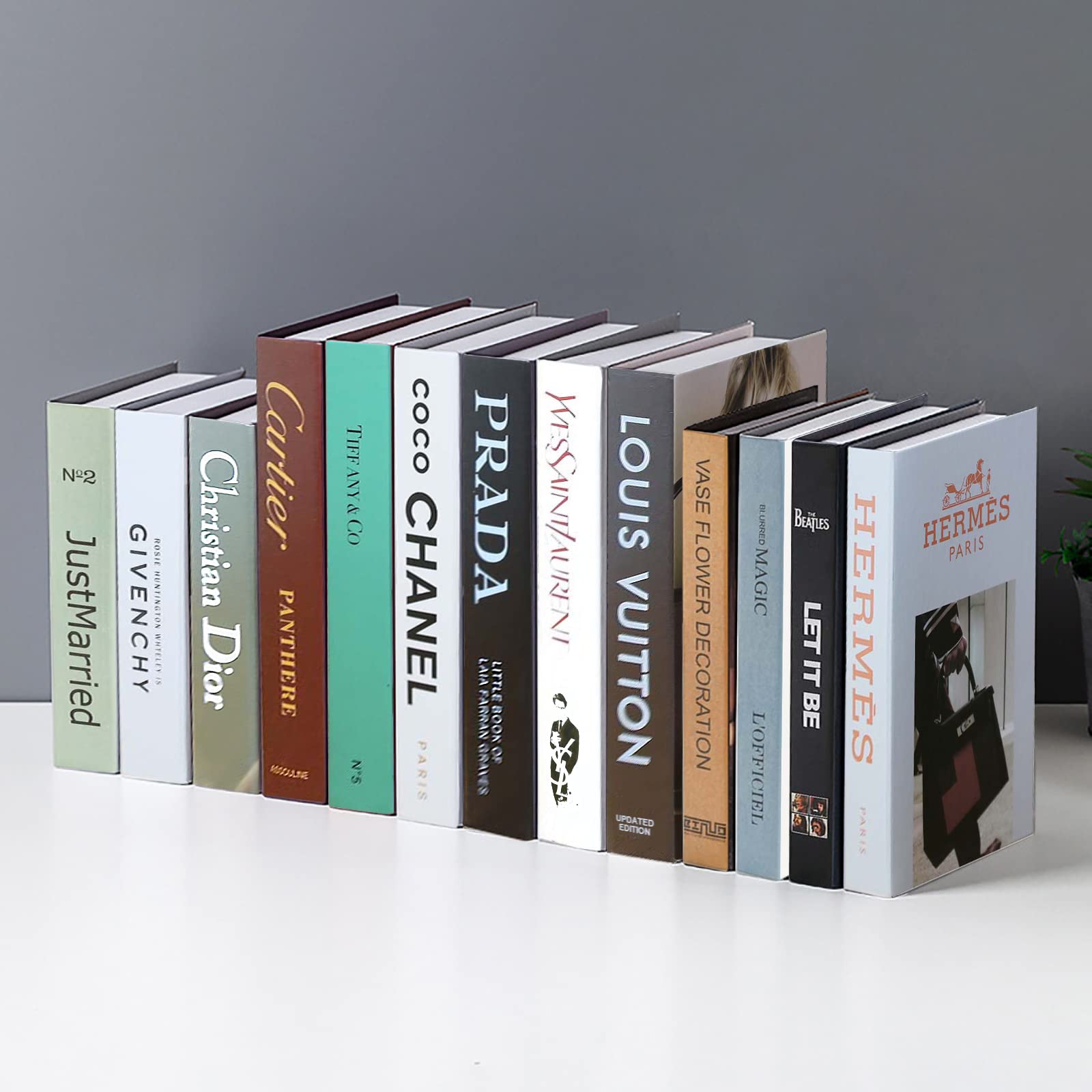 Bleggeit Decorative Books Bundle