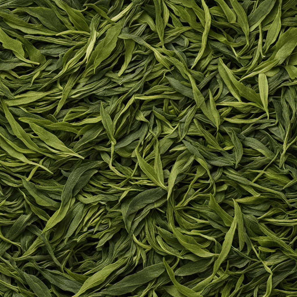 An image showcasing two Japanese tea leaves, Bancha and Sencha, side by side