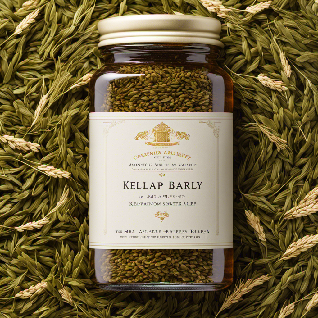 An image showcasing a glass jar filled with malted barley, kelp, and alfalfa, steeping in warm water