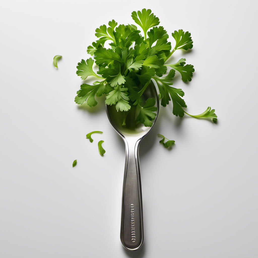 An image showcasing a close-up shot of a measuring spoon filled with a delicate pinch of vibrant green parsley leaves, against a clean white background