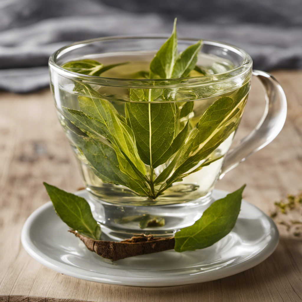 An image depicting a clear glass teacup filled with precisely measured yerba mate leaves, gently floating in an ounce of water, showcasing the perfect infusion ratio