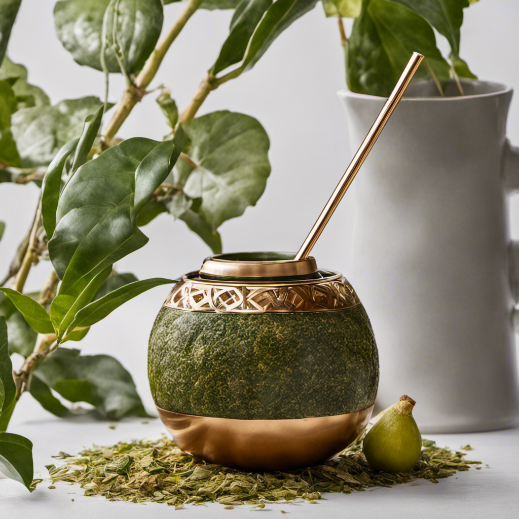 An image capturing the precise steps to prepare Playadito Yerba Mate: a gourd filled with loose leaves, steaming water poured slowly, a metal straw sipped, revealing the traditional process