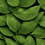 An image showcasing three distinct tea leaves: a tightly rolled, partially oxidized oolong leaf with prominent green edges, a fully oxidized black leaf with a reddish hue, and a delicate, unoxidized green leaf