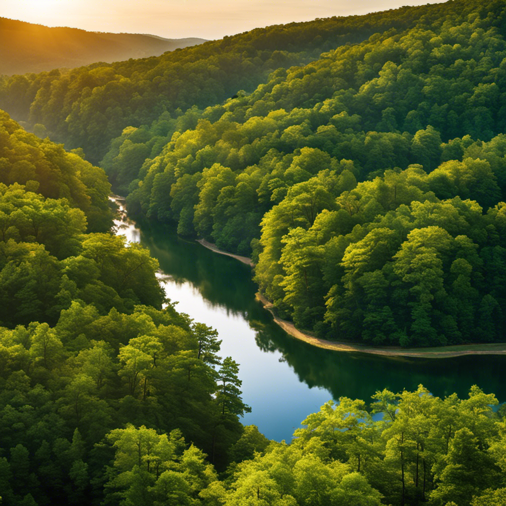 An image depicting the breathtaking landscape of Big Canoe, Georgia—a picturesque mountain community nestled in the lush, rolling hills of Dawson County