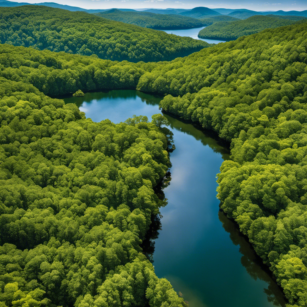 An image showcasing the enchanting landscapes of Big Canoe, GA