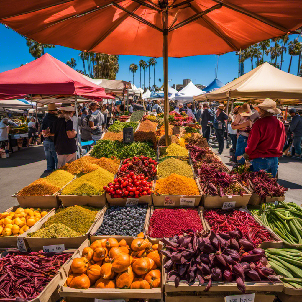 An image showcasing the vibrant San Diego farmers market, bustling with stalls brimming with freshly harvested Yerba Mate leaves