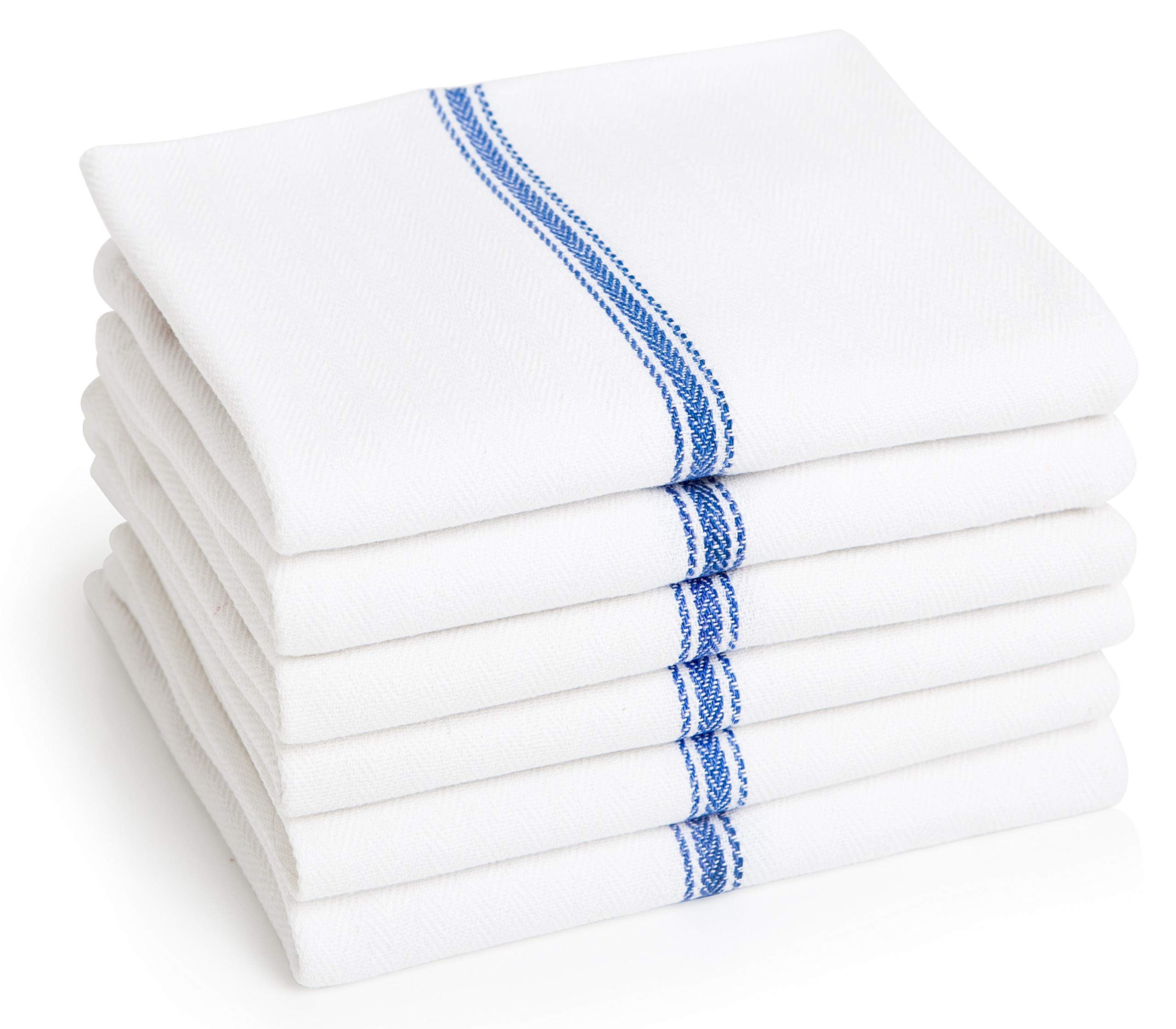 Blue Premia Dish Towels