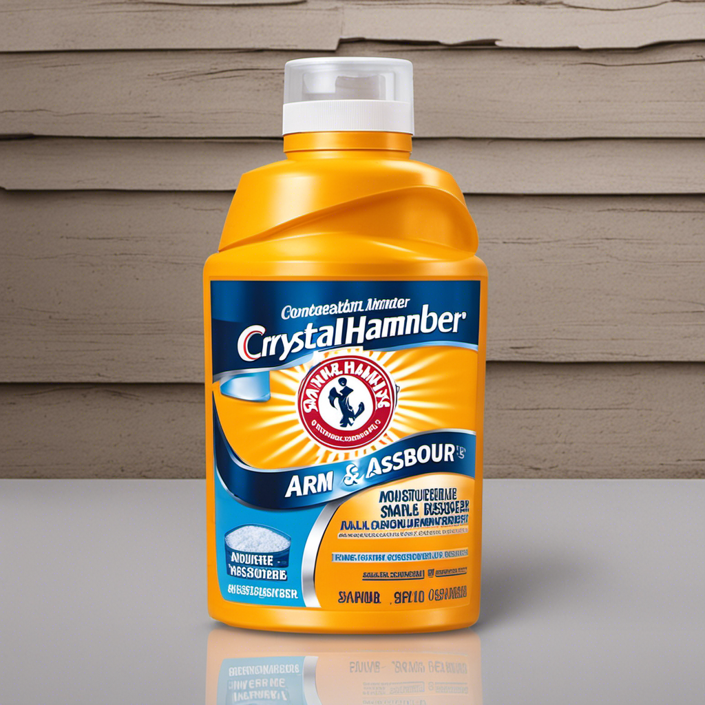An image showcasing a small, crystal-clear container of Arm & Hammer Moisture Absorber placed alongside a damp basement wall