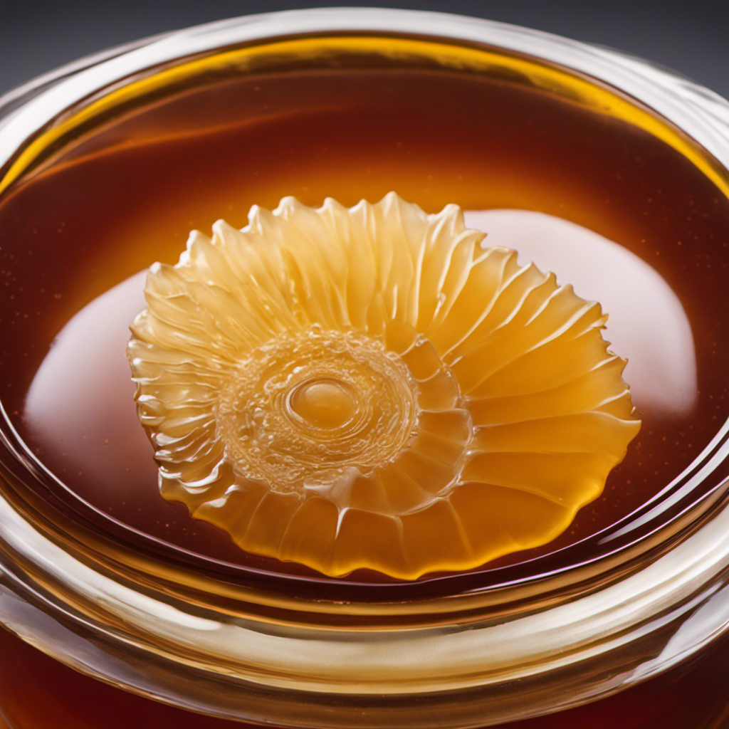 An image showcasing the intricate and delicate layers of a Kombucha Tea Scoby, capturing the translucent, jelly-like texture, the bubbly surface, and the vibrant hues ranging from pale cream to deep golden brown