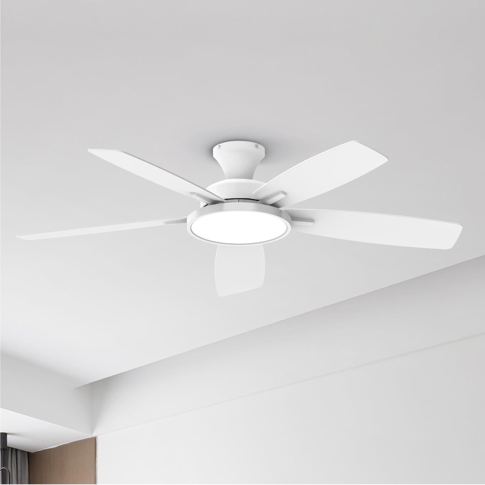 TALOYA Ceiling Fans with Lights