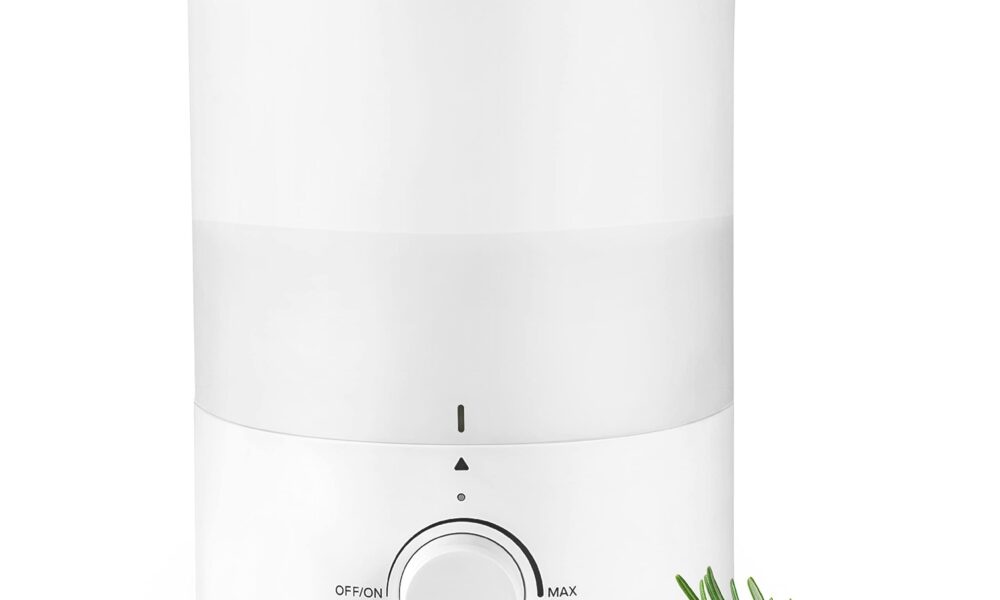 Best Humidifiers for Dry Air in 2024 Cappuccino Oracle