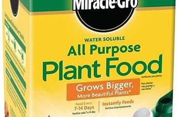 effective plant food review