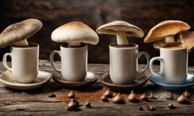explore mushroom coffee varieties