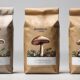 mushroom coffee recommendations listed