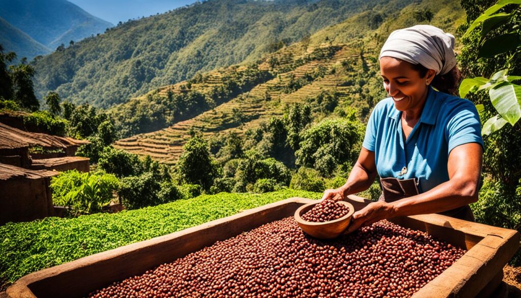 Ethiopian Coffee Processing Methods