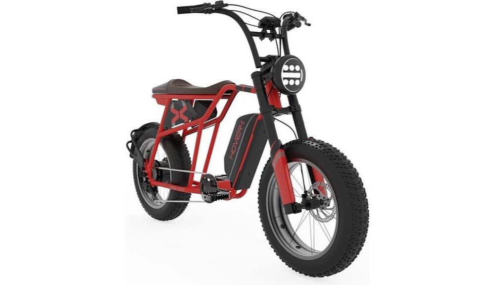 eco friendly electric bike review