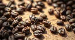 coffee seed fruit upcycling