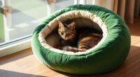 luxury orthopedic cat beds