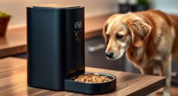 top auto pet feeders