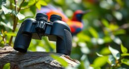 top bird wird binoculars