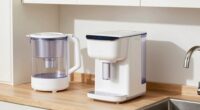 choosing the right water filter