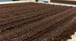 coffee waste transforms materials