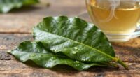 flavorful antioxidant rich beverage