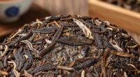 traditional fermentation process