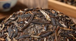 traditional fermentation process