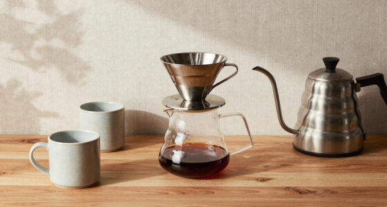 15 Best Manual Pour-Over Coffee Makers in 2026