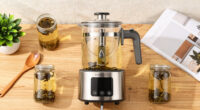 10 Best Kombucha Brewing Machines in 2026