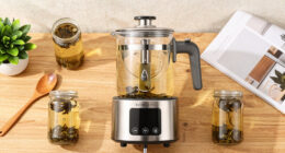 10 Best Kombucha Brewing Machines in 2026