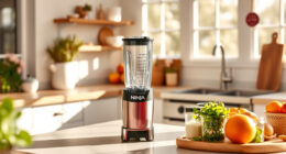 Stay Cool This Summer with the Ninja Blast Max Portable Blender