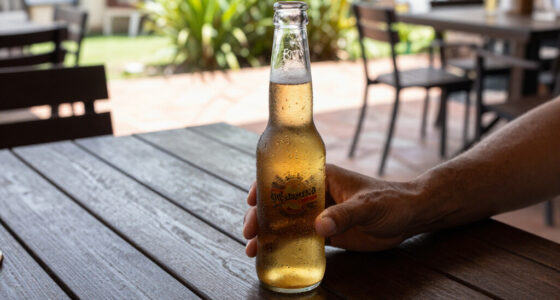 10 Best Mexican Beers in 2026
